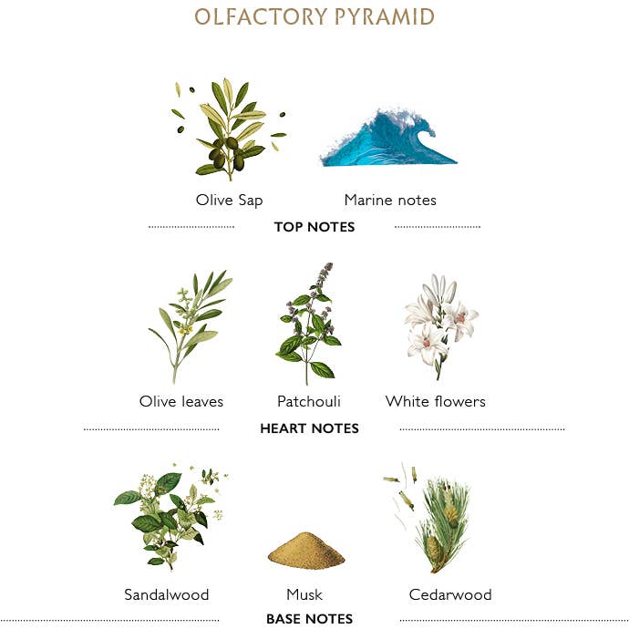 L' Olivier Shaving Set