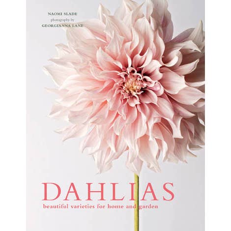 Dahlias; Beautiful Varieties For Home & Garden