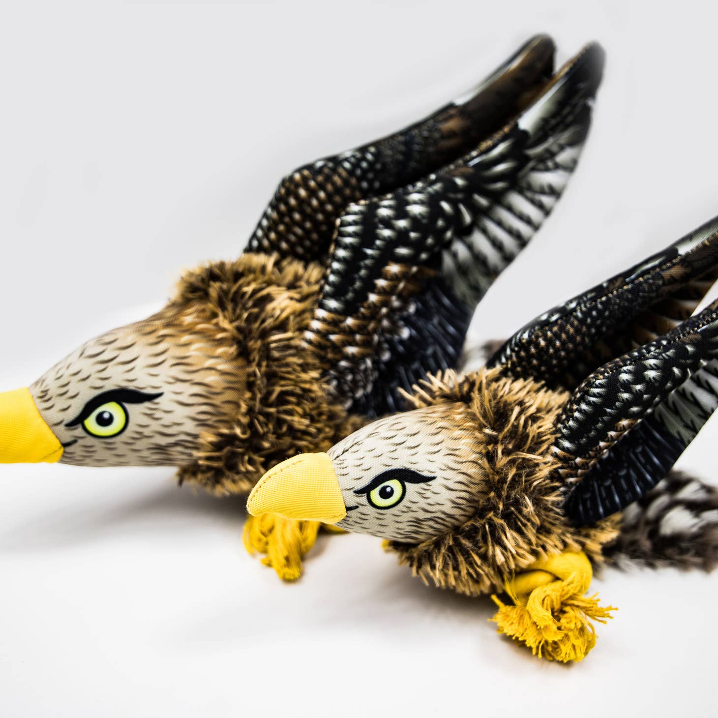 Ballistic Baller Hawk Rustic French Home