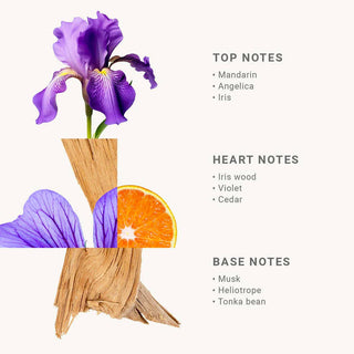 Hand Cream| BLOOMING IRIS