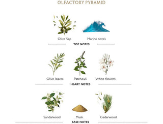 L'Olivier Cleansing gel  - Panier Des Sens France