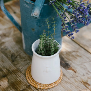 Bee Ceramic Creamer: Ecru